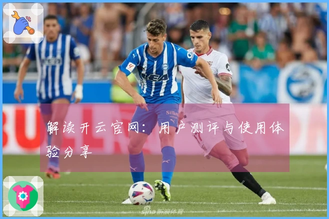 解读开云官网：用户测评与使用体验分享