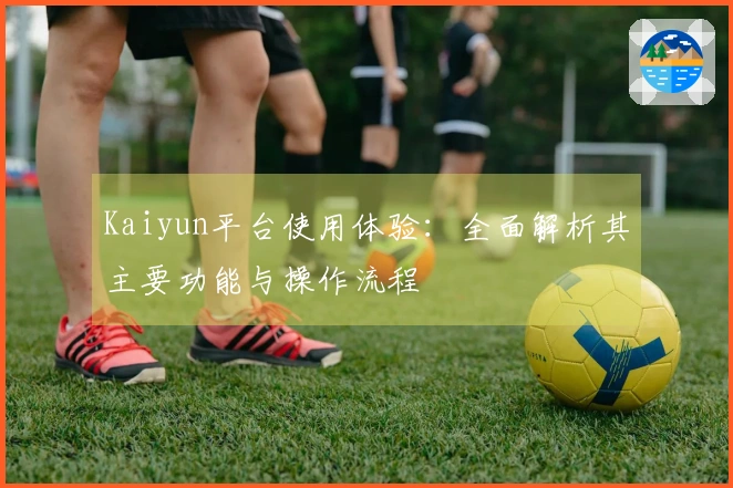 Kaiyun平台使用体验：全面解析其主要功能与操作流程