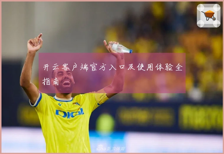 开云客户端官方入口及使用体验全指南