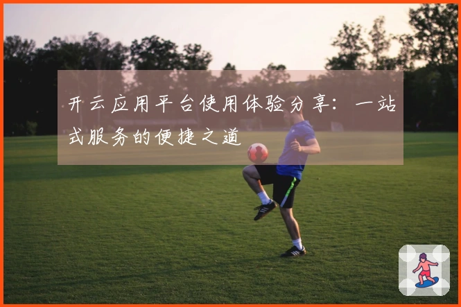 开云应用平台使用体验分享：一站式服务的便捷之道